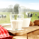 Best Whey Protein (Pote 900g) Original