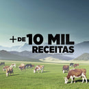 Best Whey Protein (Pote 900g) Original